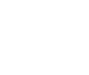 Independent Advisory Model