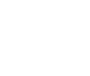 Quality Growth at Reasonable Price